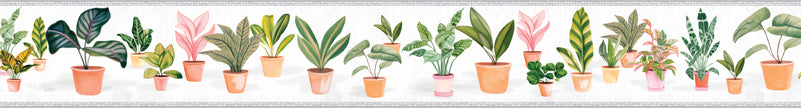 GB5040 Potted Plants Peel and Stick Wallpaper Border 10in or 8in Height x 15ft Long Light Dark Gray