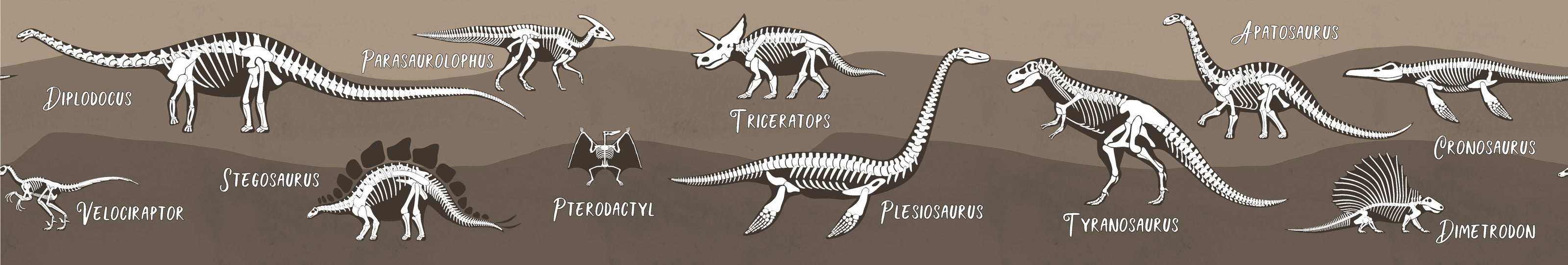 GB90243 X-Ray Dinosaurs Peel and Stick Wallpaper Border 10in or 8in Height x 15ft Long Blue Black White