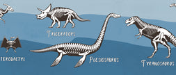 GB90243 X-Ray Dinosaurs Peel and Stick Wallpaper Border 10in or 8in Height x 15ft Long Blue Black White