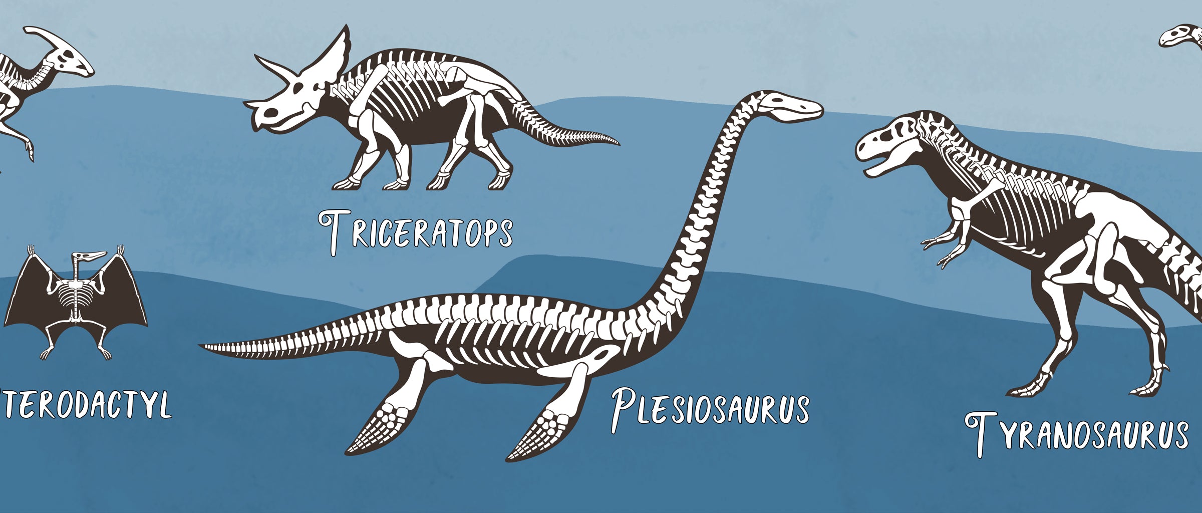 GB90243 X-Ray Dinosaurs Peel and Stick Wallpaper Border 10in or 8in Height x 15ft Long Blue Black White