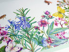 GB50071 Living Garden Peel and Stick Wallpaper Border 10