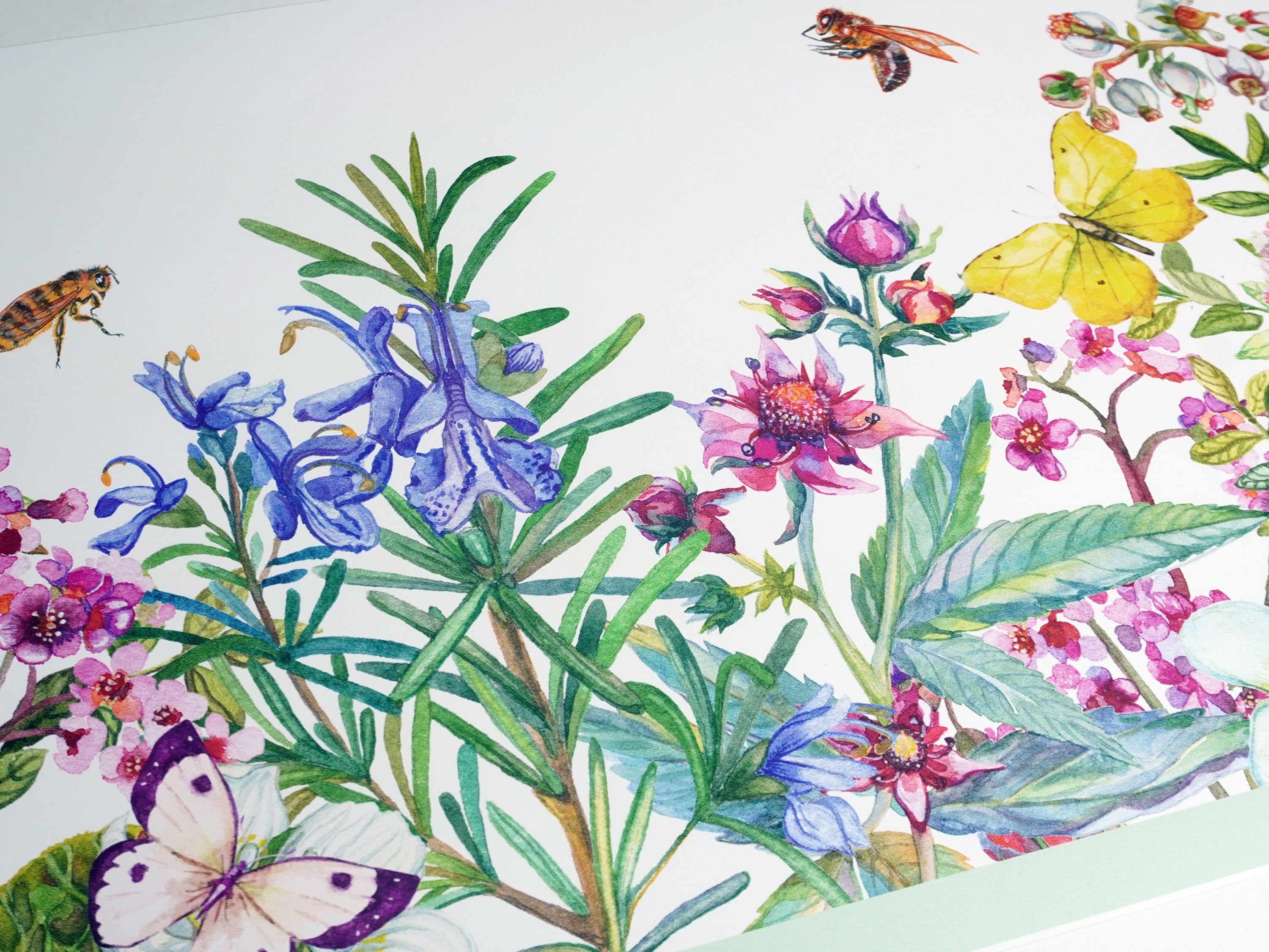 GB50071 Living Garden Peel and Stick Wallpaper Border 10
