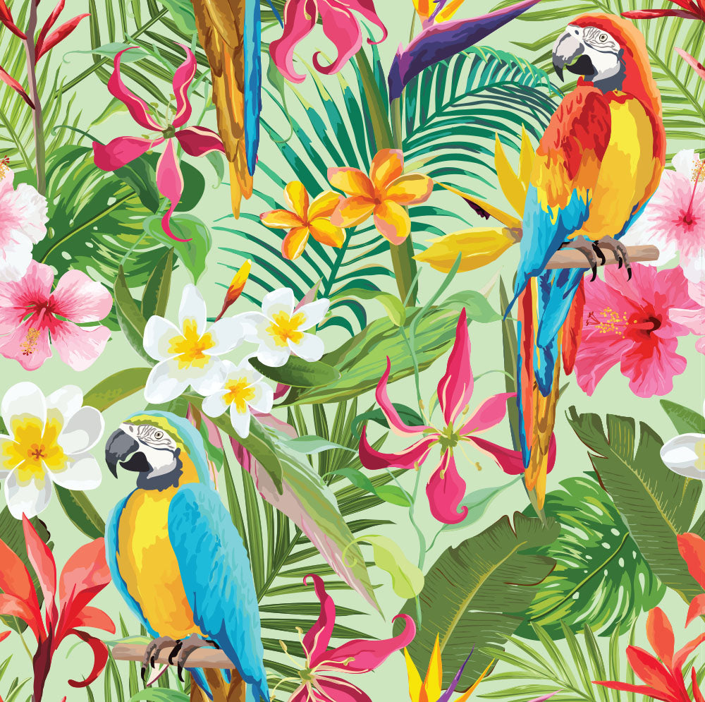 Birds + Animals Of Paradise