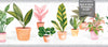 GB5040 Potted Plants Peel and Stick Wallpaper Border 10in or 8in Height x 15ft Long Light Dark Gray