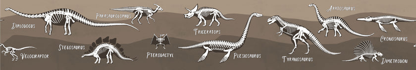 GB90243 X-Ray Dinosaurs Peel and Stick Wallpaper Border 10in or 8in Height x 15ft Long Blue Black White