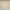 GE5110 Large Tropical herbage Endless Murals in Cream and Sand Gold