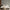 GE0020 Lenticular Foliage Endless Murals Dark Gary Brown