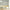 GN5041 Wildflowers and Butterflies Fine Wallpaper Roll size 26 inch Wide x 27 ft. Long, Cream/Green