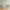 GN5041 Wildflowers and Butterflies Fine Wallpaper Roll size 26 inch Wide x 27 ft. Long, Cream/Green
