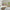 GE5041 Big Blooms Grace & Gardenia Endless Mural Beige Cream Multi-color