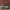 GE0022 Lenticular Foliage Endless Murals Maroon