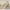 GE5041 Big Blooms Grace & Gardenia Endless Mural Beige Cream Multi-color