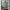 GE5101 Bamboo Serenity Endless Murals in Soft Sage Green