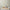 GE0021 Lenticular Foliage Endless Murals Beige Tan