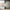 GE0020 Lenticular Foliage Endless Murals Dark Gary Brown