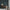 GE5100 Bamboo Serenity Endless Murals in Dark Teal