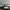 GE5112 Large Tropical herbage Endless Murals in Gray Black