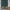 GDM0022 Marina Makaron Designs Paisley in Teal Wallpaper Panel 26 inch Wide x 6ft, 9ft, and 12ft Long