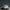 GE5100 Bamboo Serenity Endless Murals in Dark Teal