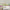 GE5041 Big Blooms Grace & Gardenia Endless Mural Beige Cream Multi-color