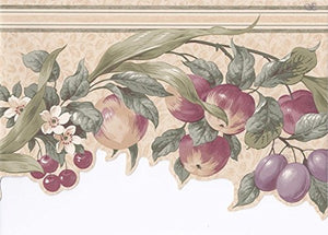 Wallpaper For Less CV103721 Apples Cherries Floral Wallpaper Border, Cream