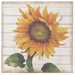 Sunflower Wall Art 24