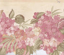 Wallpaper For Less MF008203B Buttercup Flowers Butterflies Border, Cream Pink