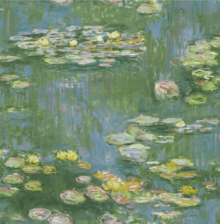 Lily Pond Flowers