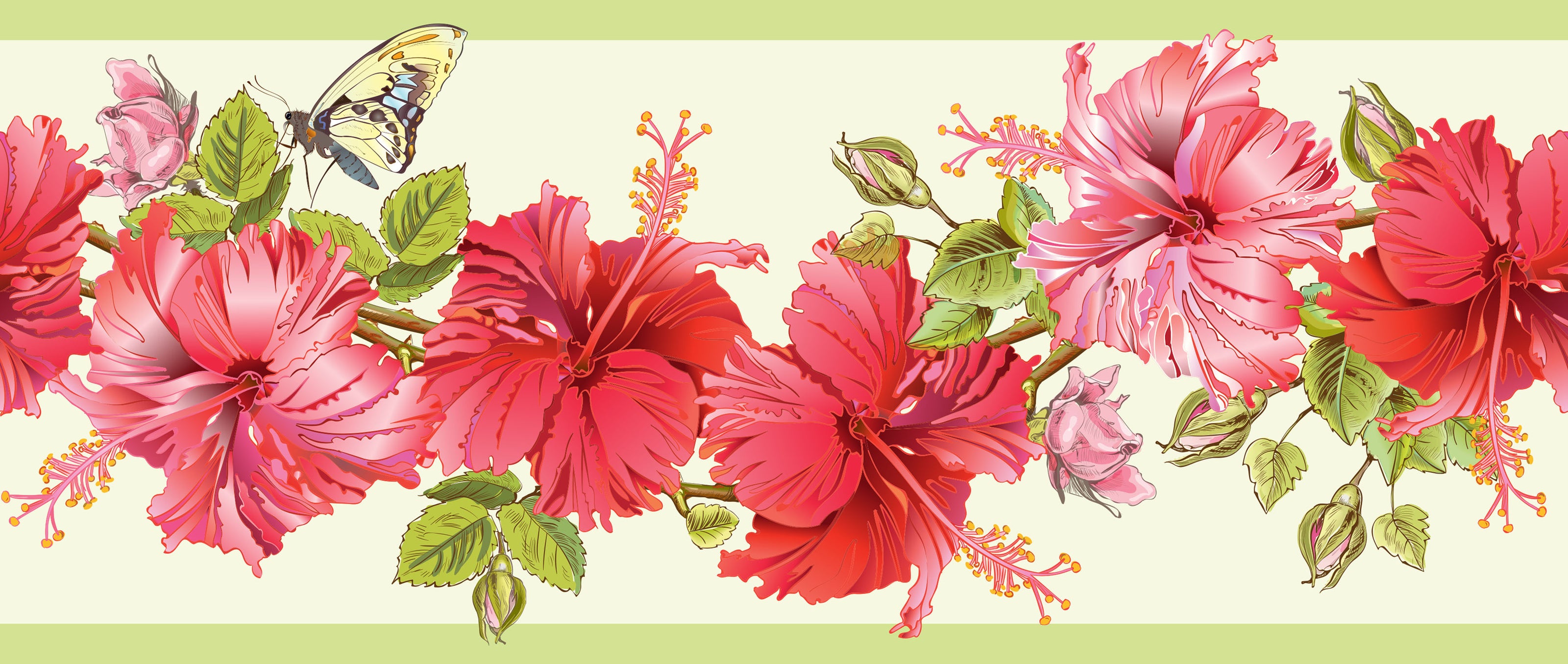 GB20031 Hibiscus and Butterfly Peel and Stick Wallpaper Border 10