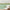 GB20040 Tropical Watercolor Peel and Stick Wallpaper Border 10in Height x 15ft Long, Beige Green Purple
