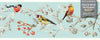 GB30011 Grace & Gardenia Birds in PInes Peel and Stick Wallpaper Border 10in Height x 18ft Long, Blue White Pink Yellow