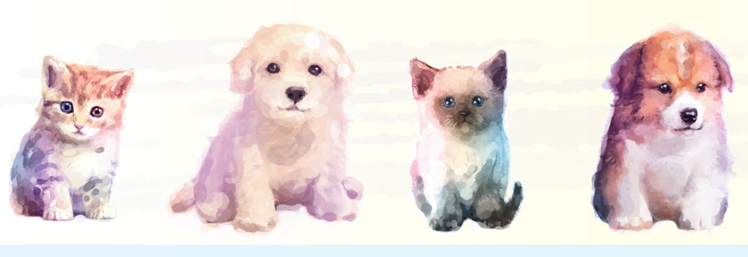 GB30021 Kittens & Puppies Peel and Stick Wallpaper Border 15ft Long, Beige Blue Orange Cream