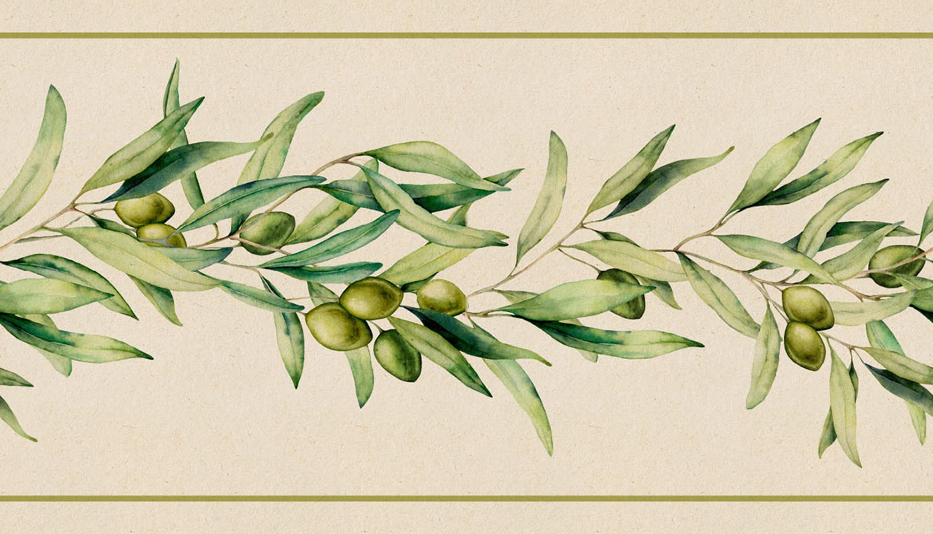 GB50140 Grace & Gardenia Olive Branch Peel and Stick Wallpaper Border 10in or 8in Height x 15ft Long, Beige Green