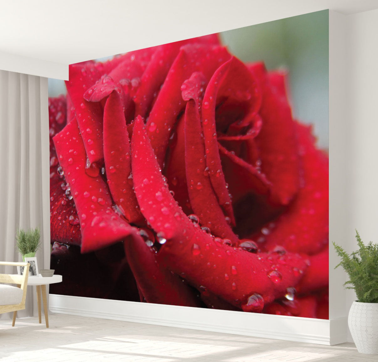 GM0050 Grace & Gardenia Rose with Rain Droplets Premium Peel and Stick Mural 13ft. wide x 10ft. height, Red Green