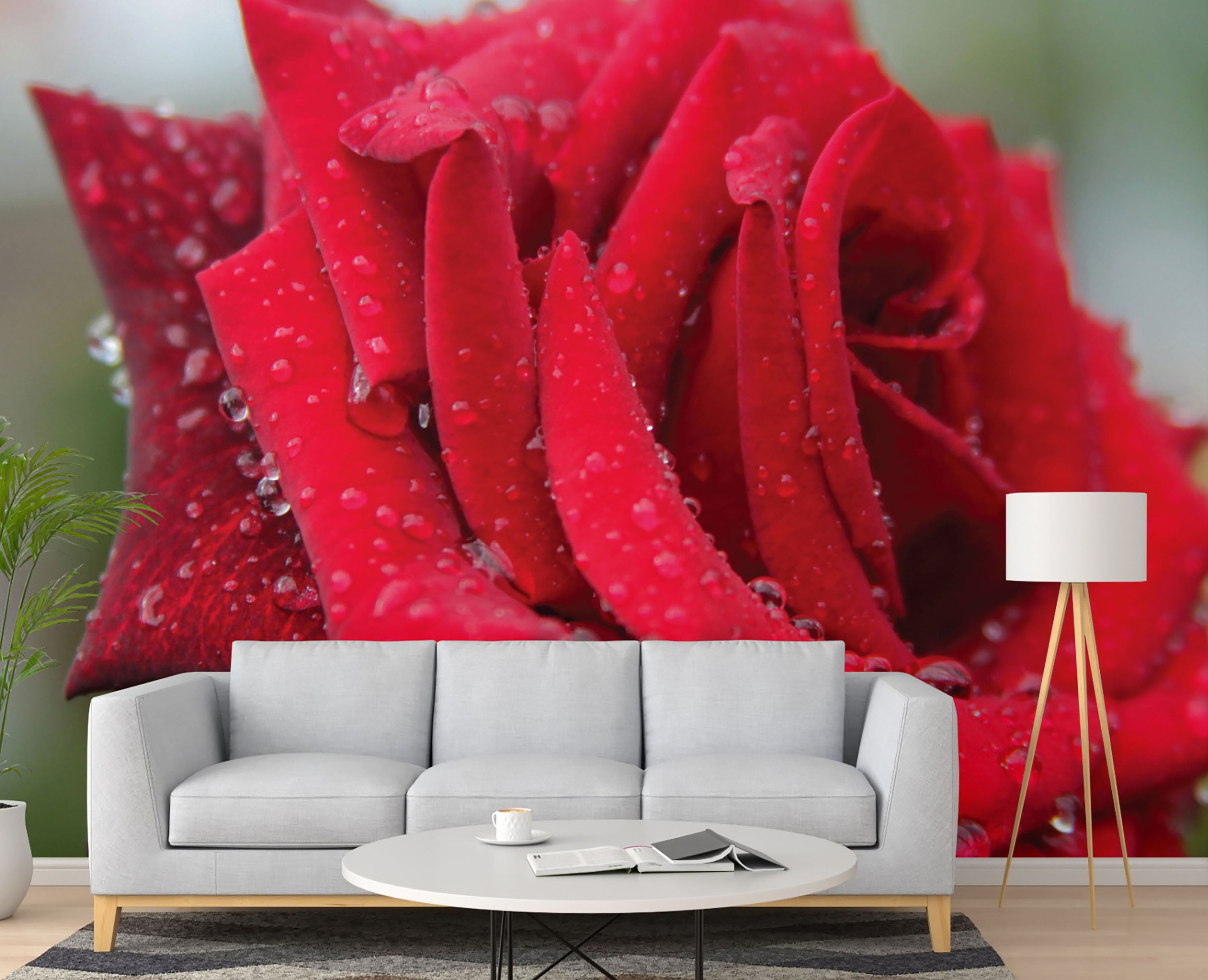 GM0050 Grace & Gardenia Rose with Rain Droplets Premium Peel and Stick Mural 13ft. wide x 10ft. height, Red Green