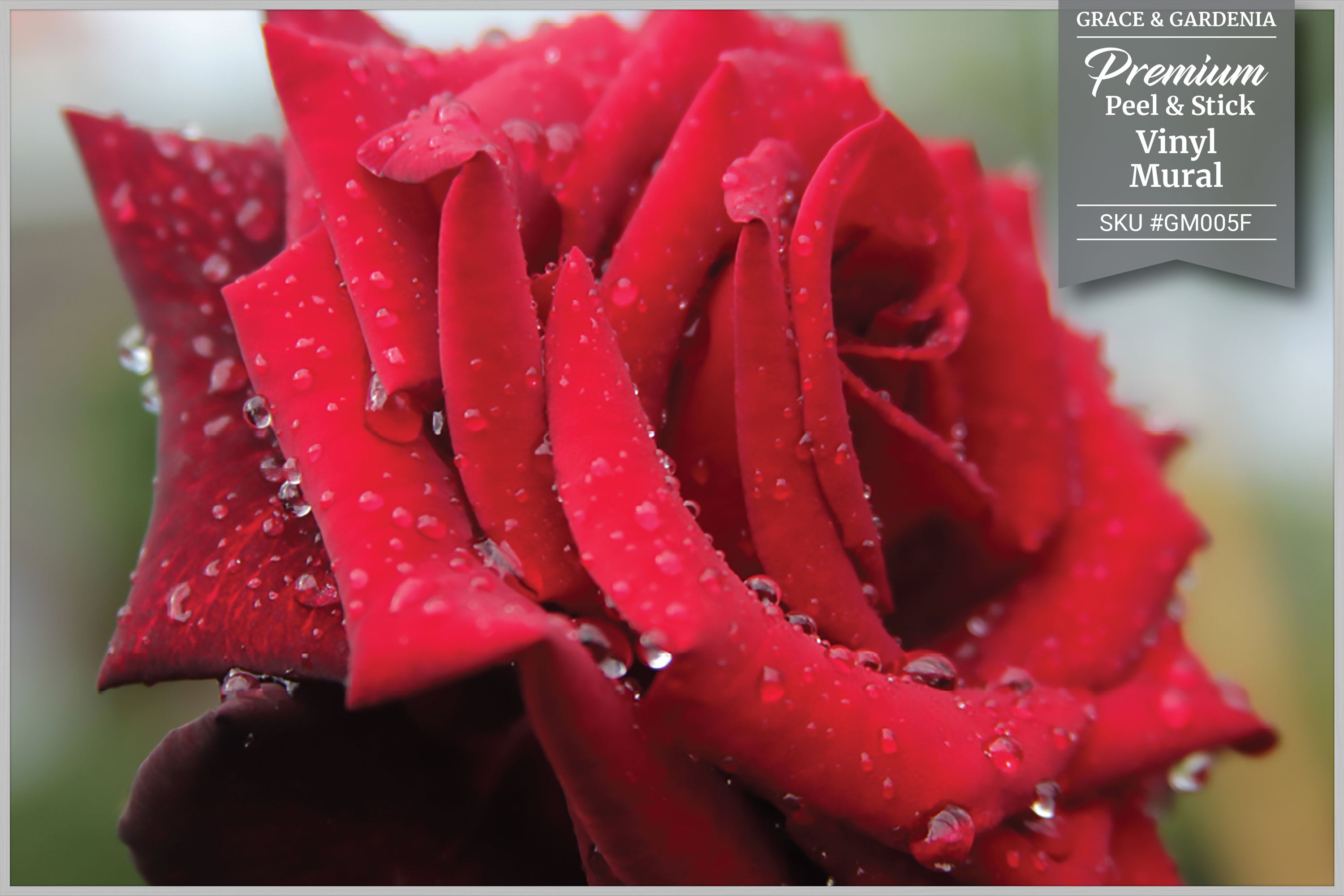 GM005F Grace & Gardenia Rose with Rain Droplets Premium Peel and Stick Mural 69 inch wide x 46 inch height Red Green