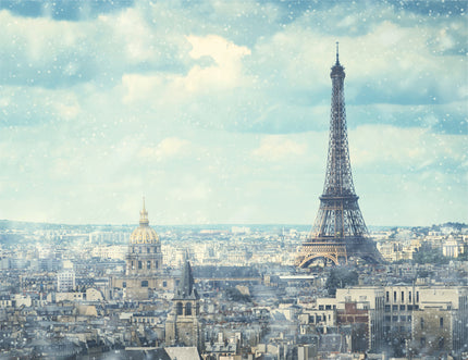 GM0160 Grace & Gardenia Paris in the Snow Premium Peel and Stick Mural 13ft. wide x 10ft. height, Blue Gray White