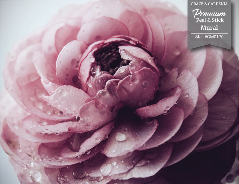 GM0170 Grace & Gardenia Pink Buttercup Premium Peel and Stick Mural 13ft. wide x 10ft. height, Pink White