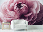 GM0170U Grace & Gardenia Pink Buttercup Unpasted Premium Matte Paper Mural 13ft. wide x 10ft. height, Pink White