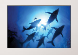 GM019F Grace & Gardenia Whales with Diver Premium Peel and Stick Mural 69 inch wide x 46 inch height Blue Black