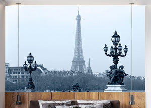 GM0230 Grace & Gardenia Eiffel Tower in Black and White Premium Peel and Stick Mural 156in wide x 112in height. height, Black White Gray