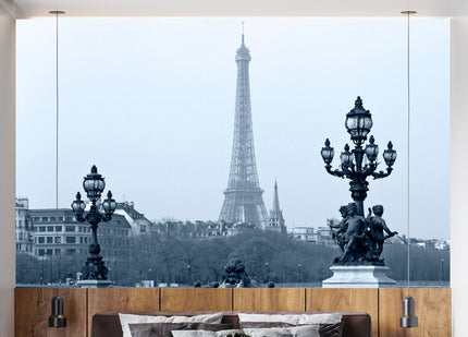 GM0230 Grace & Gardenia Eiffel Tower in Black and White Premium Peel and Stick Mural 156in wide x 112in height. height, Black White Gray