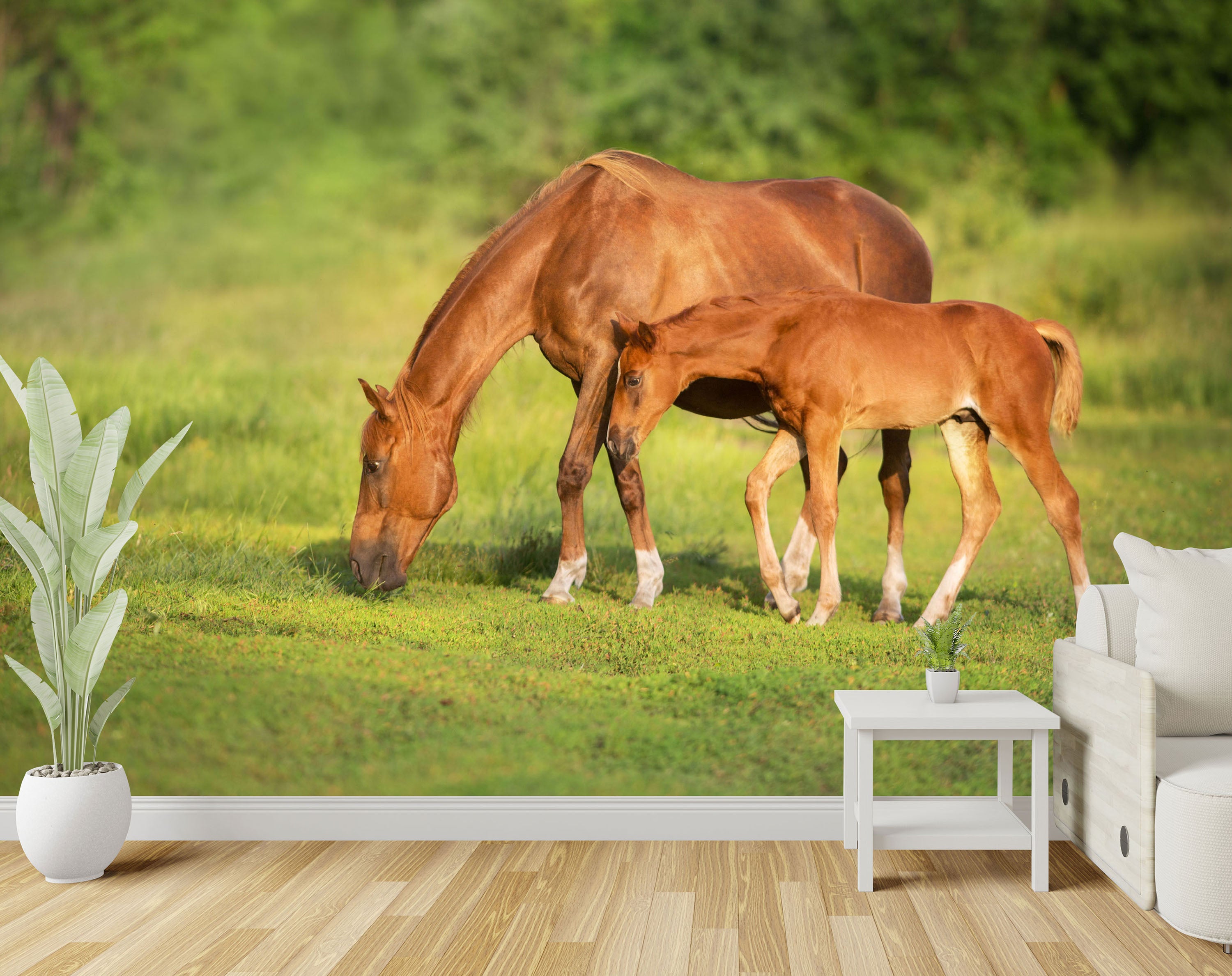 GM0250 Grace & Gardenia Horses Premium Peel and Stick Mural 156in wide x 112in height, Green Brown