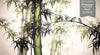 GM0320 Grace & Gardenia Bamboo and Birds Premium Peel and Stick Mural 206in wide x 112in height, Green Yellow Black