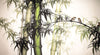 GM0320 Grace & Gardenia Bamboo and Birds Premium Peel and Stick Mural 206in wide x 112in height, Green Yellow Black