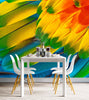 GM0680 Grace & Gardenia Parrot Feathers Premium Peel and Stick Mural 156in wide x 112in height, Blue Yellow Green Red