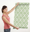 GP0061 Trellis Pattern  Premium Paper Peel and Stick Wallpaper Panel, Green/Cream