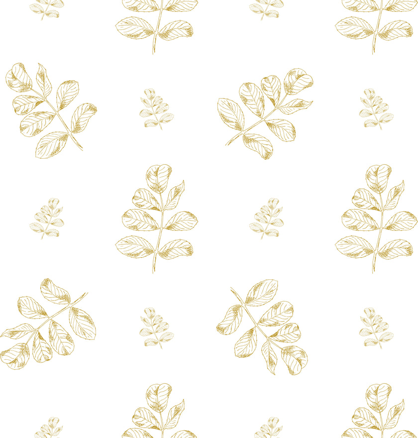 GN5012 Hand Drawn Leaves Fine Wallpaper Roll size 26 inch Wide x 27ft. Long, Mustard, White