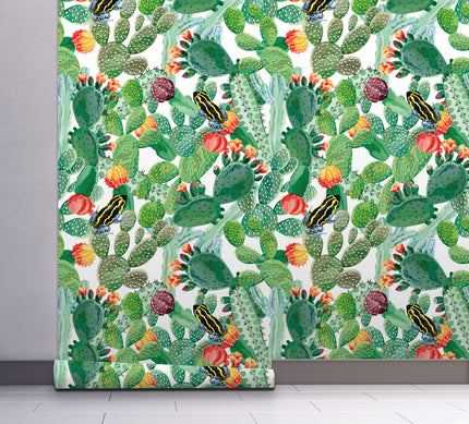 Cactus and Frog