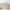 GP1900291 Trucks and Tractors Premium Peel and Stick Wallpaper Border